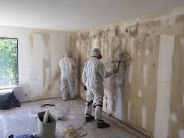 Best Mold Damage Restoration in Mcguire Af, NJ